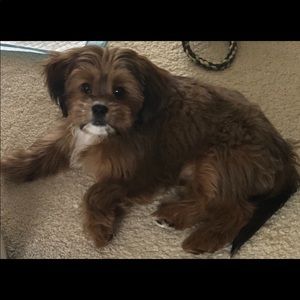 Meet your Posher, Melisa